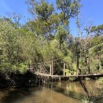Ponte Itupava