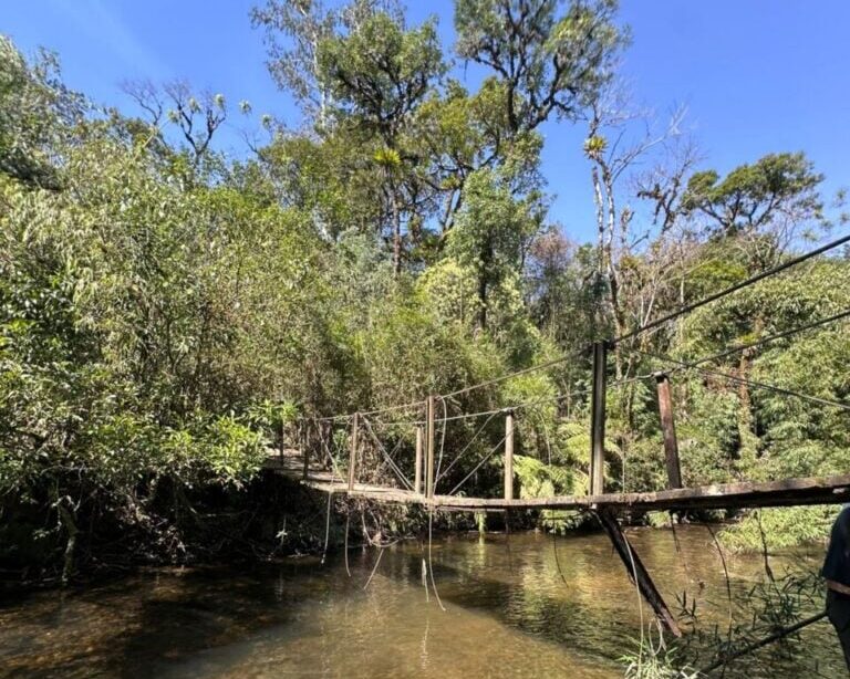 Ponte Itupava