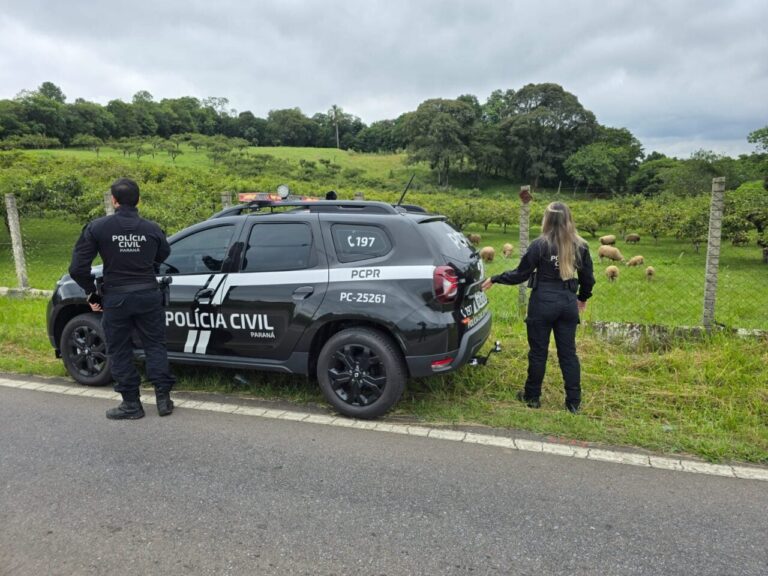Homem é preso em Araucária após ameaças e violência doméstica contra companheira