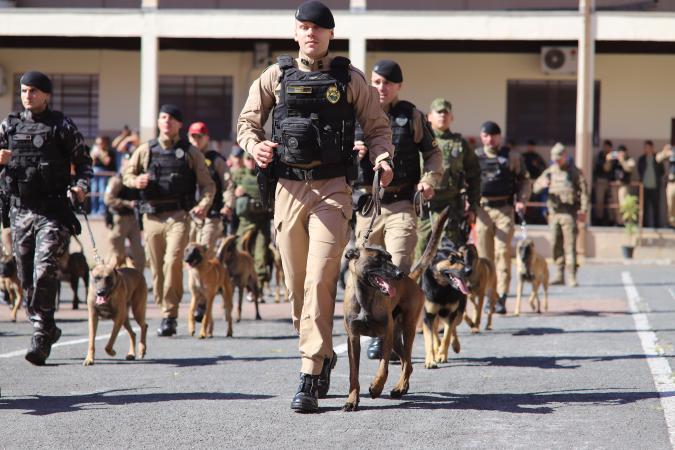 pmpr forma policiais especializados no emprego de cães para reforçar combate ao crime